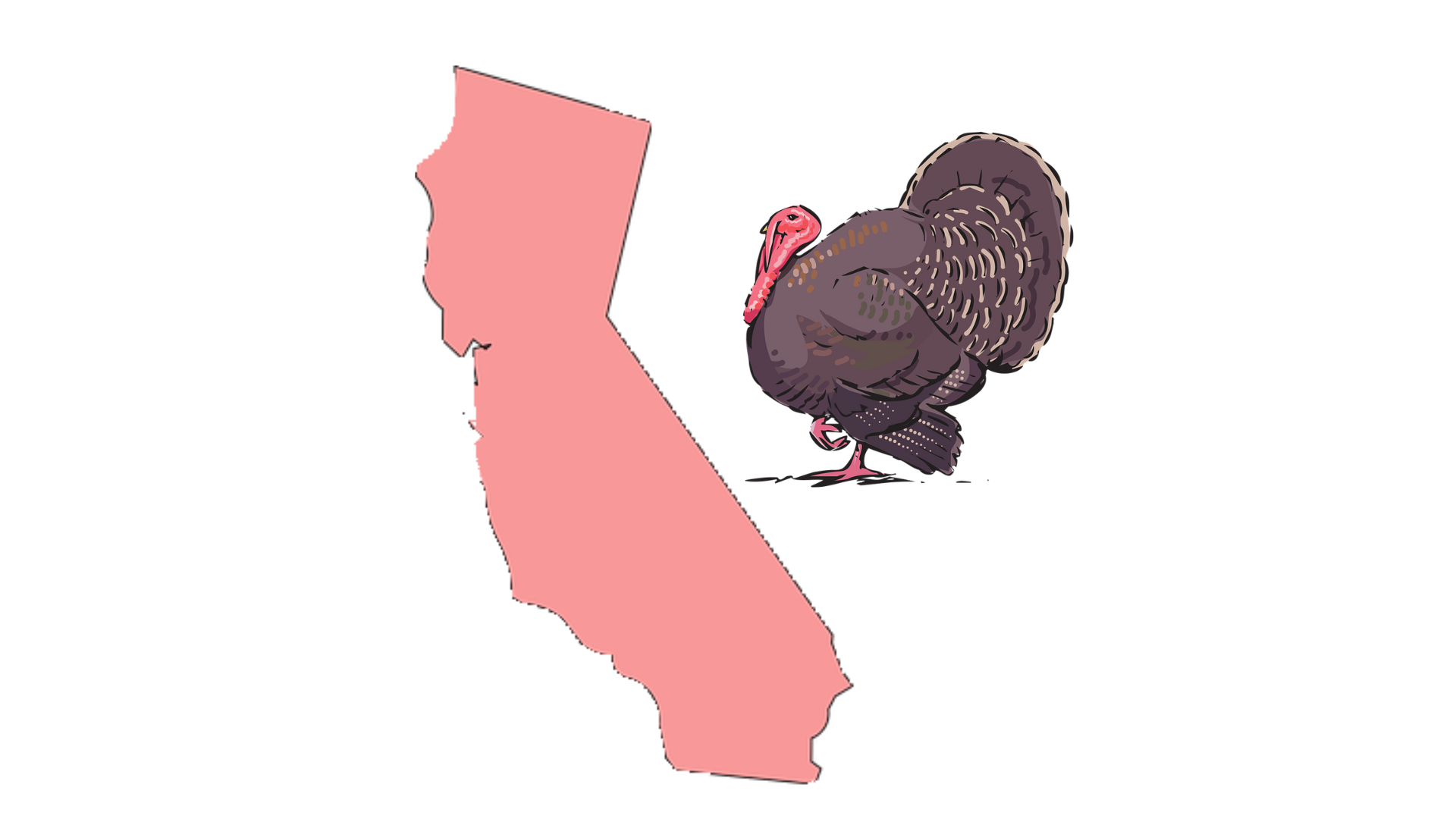 California Turkey Hunting Season Essential Dates and Tips The